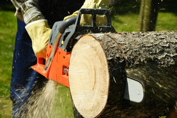 Tree Service Chicago Heights IL | Tree Removal Chicago Heights IL
